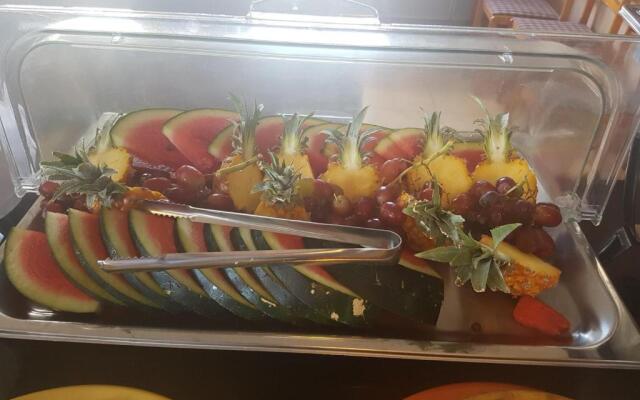 L'Oiseau de l'Océan