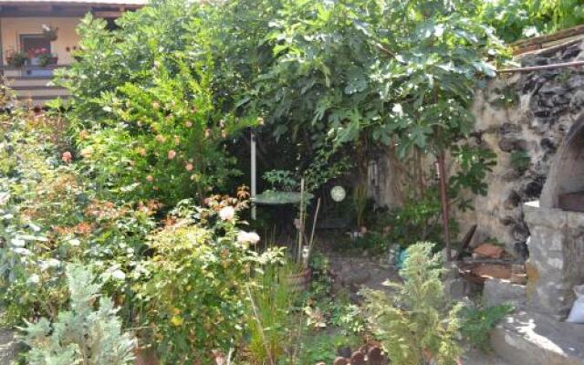 Casa de Oaspeti Dunarea la Cazane