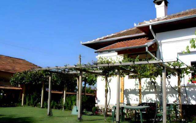 Grandpa House