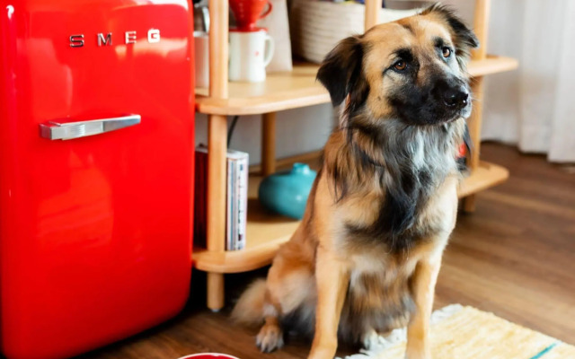 Virgin Hotels Dallas