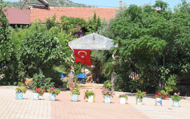Telemen'in Evi Pansiyon