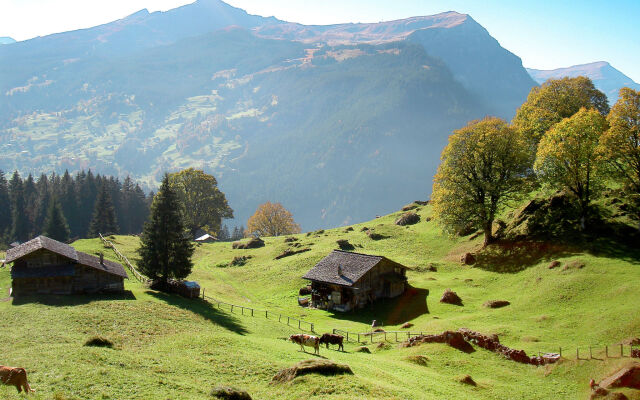 Chalet Blaugletscher