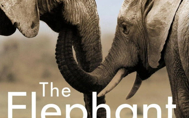 Thula Thula Game Lodge