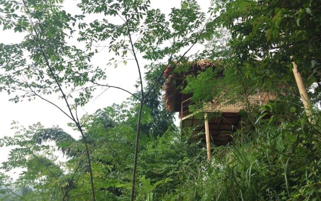 Eco Hills Homestay