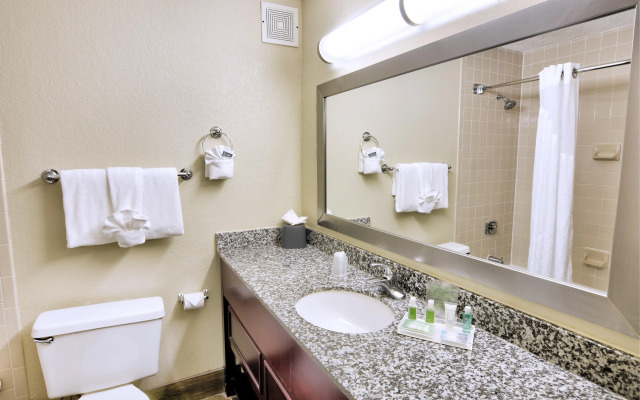 Holiday Inn St Petersburg N - Clearwater by IHG