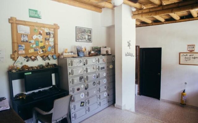 La Tortuga Hostel