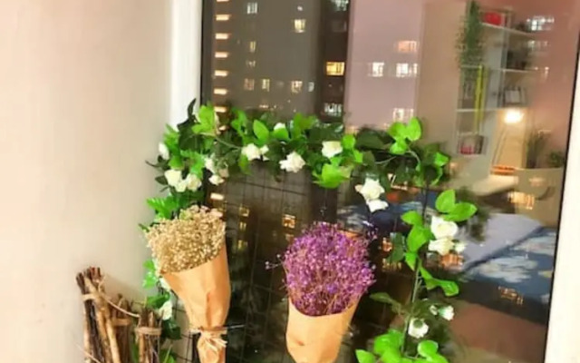 Midu International Theme Apt - CBD