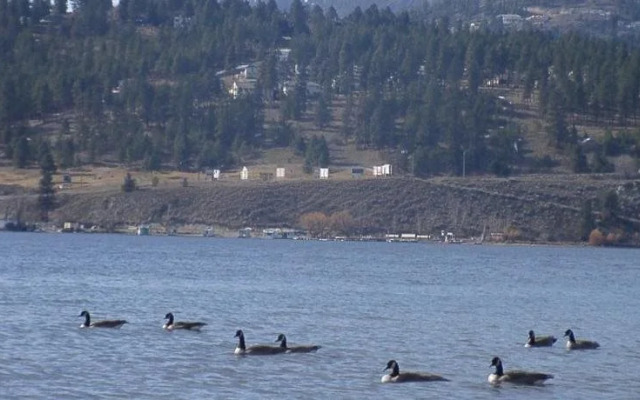 By the Bridge Bed & Breakfast