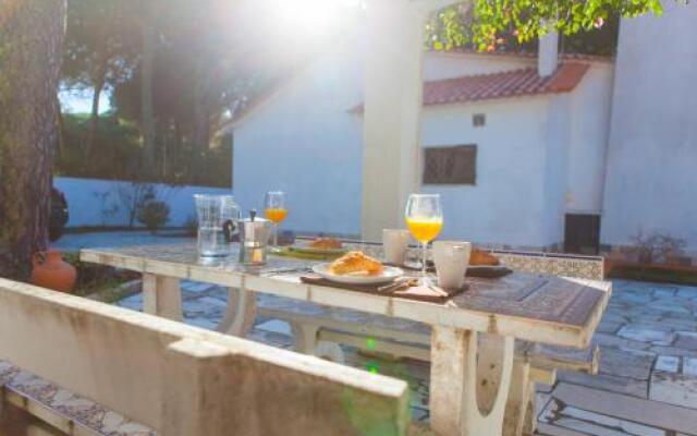 Ocean, Pines and Mountain