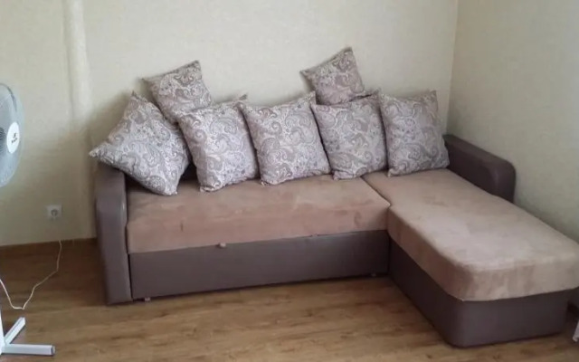 Студия Верхняя Лысая Гора