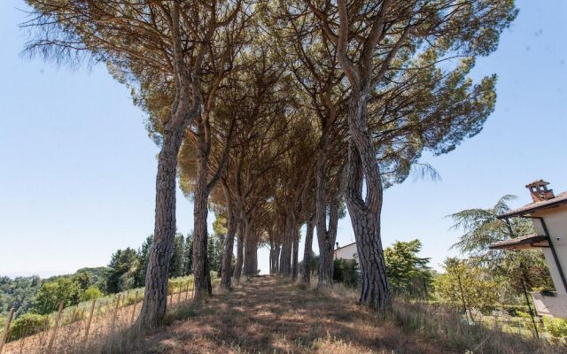 "podere Caldaruccio La Pineta - Torretta"