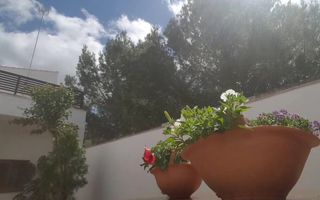 Hostal Rural Ben-Nassar