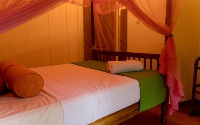 Aronka Homestay