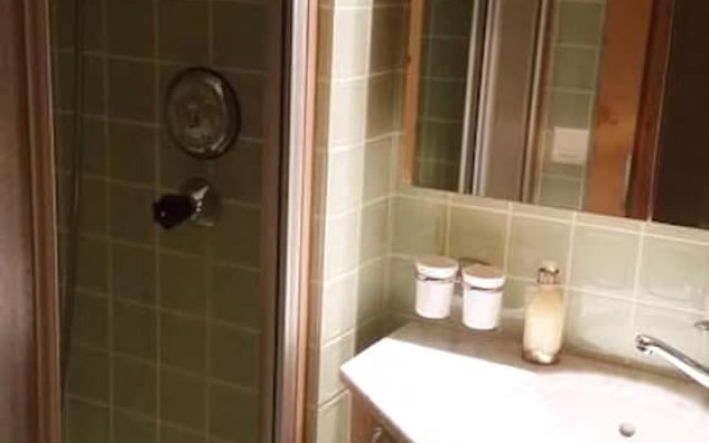 Luxurious Flat on the Wispile
