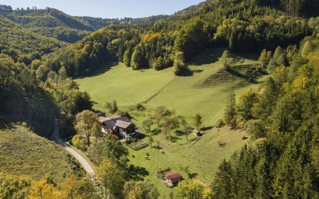 Urlaub mitten im Wald - Lueg