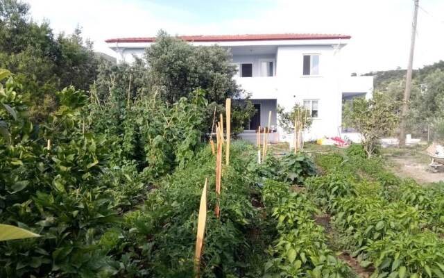 MedSea Yachts Villas