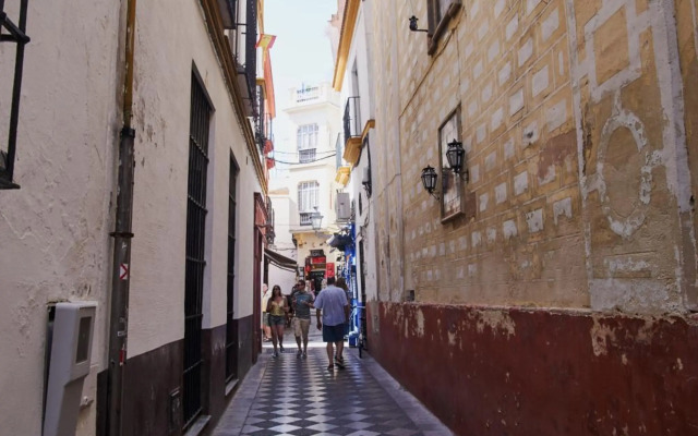 Santa Cruz Pearl by Valcambre