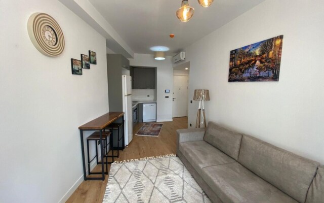 Business-friendly Residence Flat in Fikirtepe