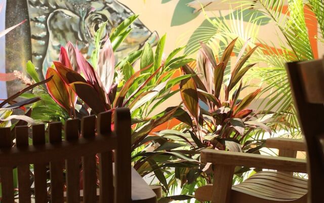 Casa Borka LUXURY FULLY FURNISHED BEACH CONDOS WITH POOL