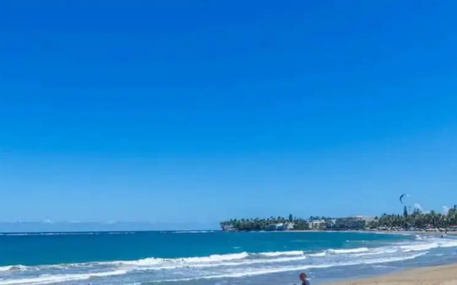 Garden Studio, Ocean Dream