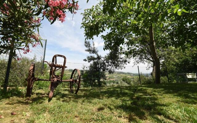Agriturismo " La Valle degli Ulivi"