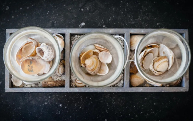 Amandari Igv01 Near the Center in Koksijde