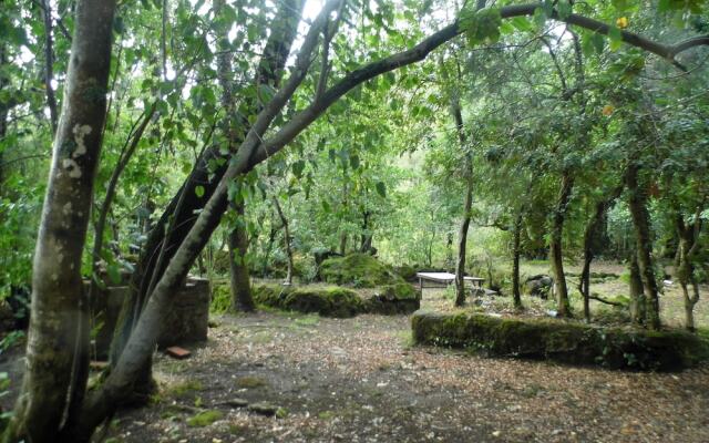 Bosque Los Lleuques Cabaña & Spa