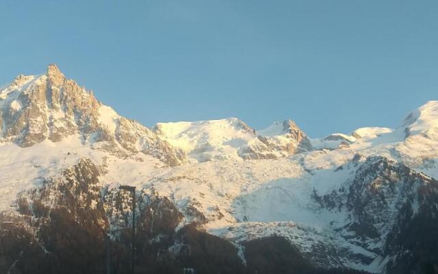 studio plein sud vue Mont Blanc CHAMONIX