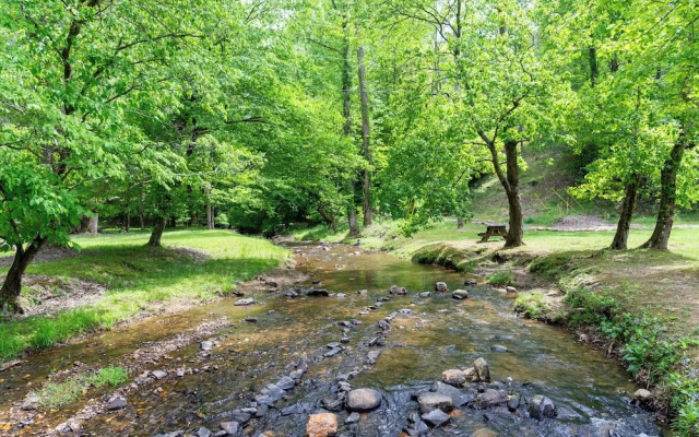 Buck Valley Lodge Mountain Getaway!