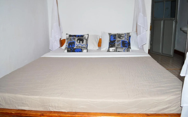 African wagtail hostel