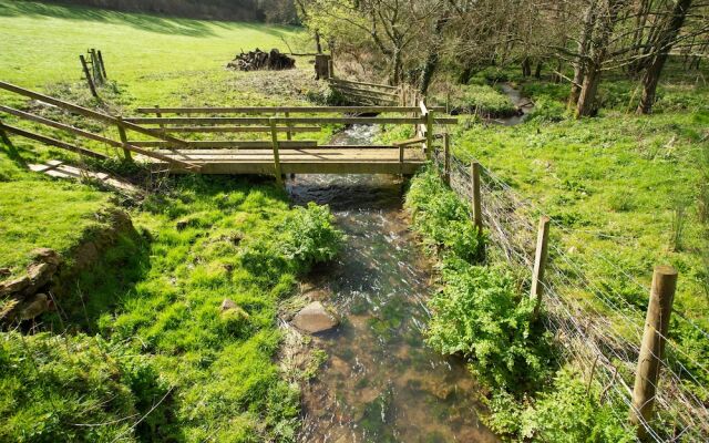 On the Brook