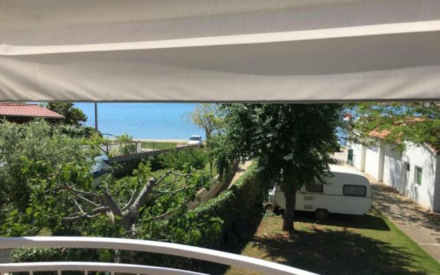 Apartments Roko