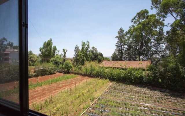 Paradise Holiday Resort