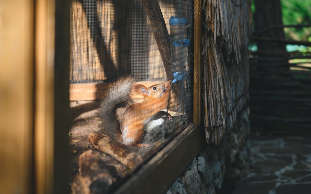 Полтава-Крым