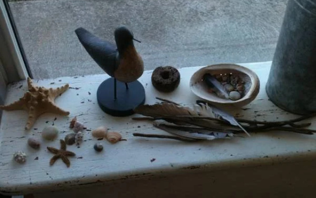 La Tulipe Périgourdine