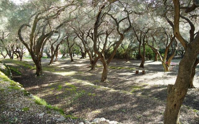 Camping Paleokastritsa