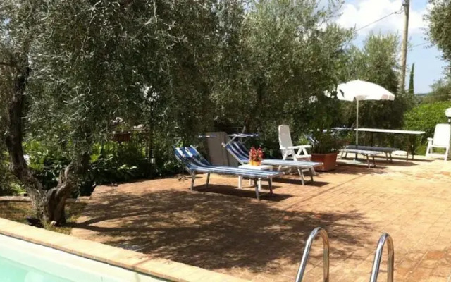Picchio della Tinaia