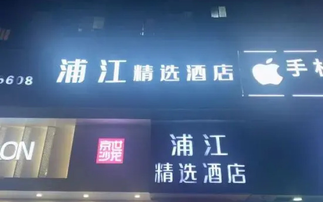 Pujiang Collection Hotel (Shanghai Metro StationWulian Road)