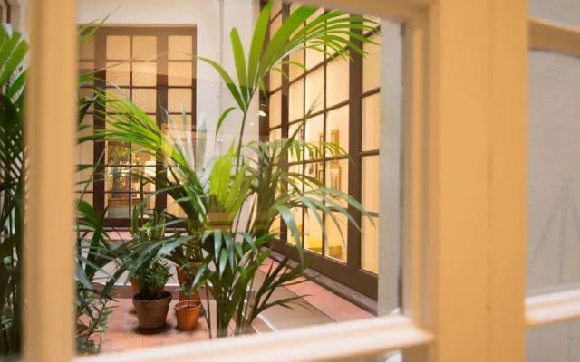 Forget Me Not Barcelona