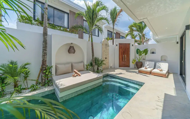 Nova Oasis 4