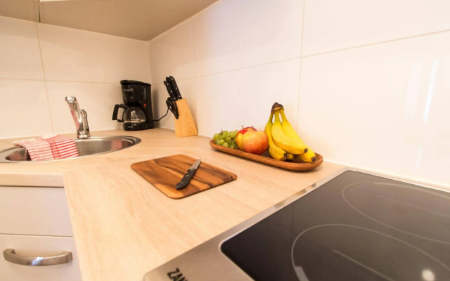 CheckVienna – Apartment Roßauer Lände