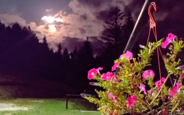 Zaovinska Panorama I