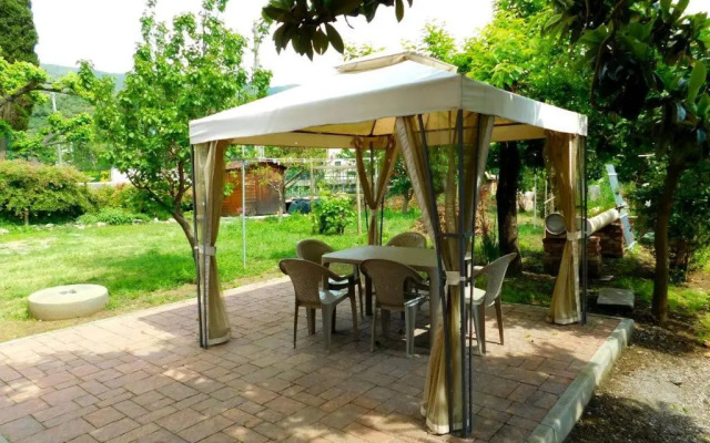 cod 081 Arancio Limone