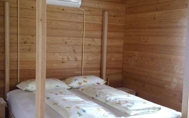 Sakin Vadi Winehouse