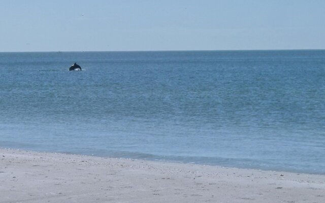 Trillium 5B Beach Front With Private Balcony/amazing Gulf Views!
