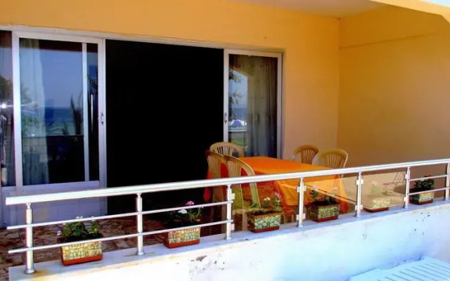 Gunes Yali