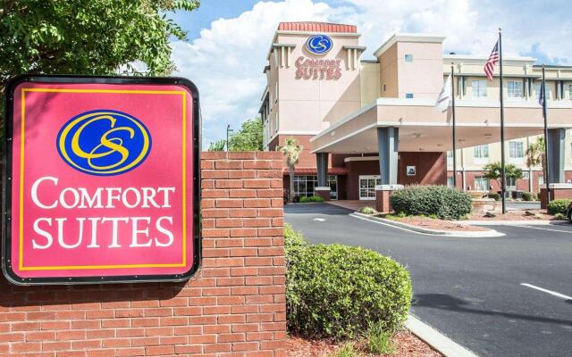 Comfort Suites Rock Hill Manchester Meadows Area