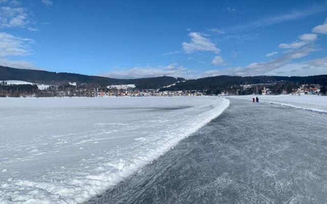 Wellness & Spa Apartments Lipno - Frymburk