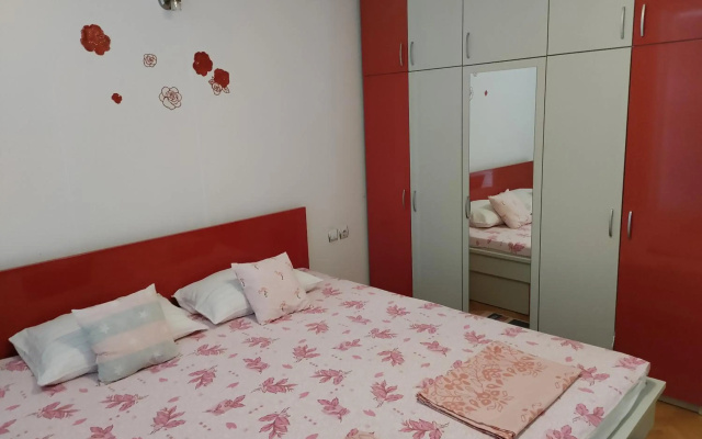 Central apartment
