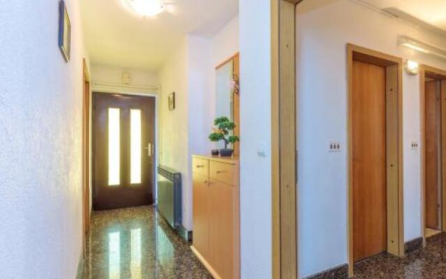 Apartments Volte 297